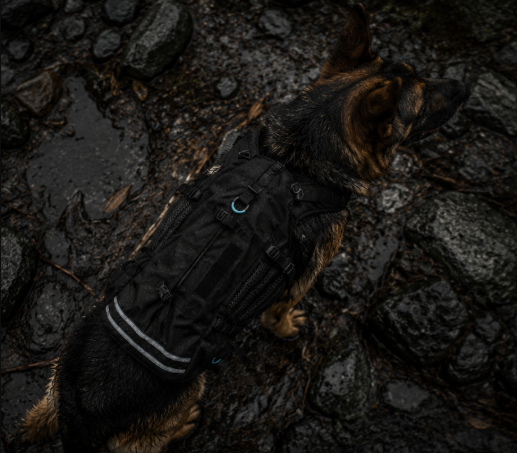 Outdoor Travel Dog Backpack
